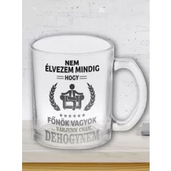   Bögre főnököknek - Nem mindig élvezem - Üveg víztiszta