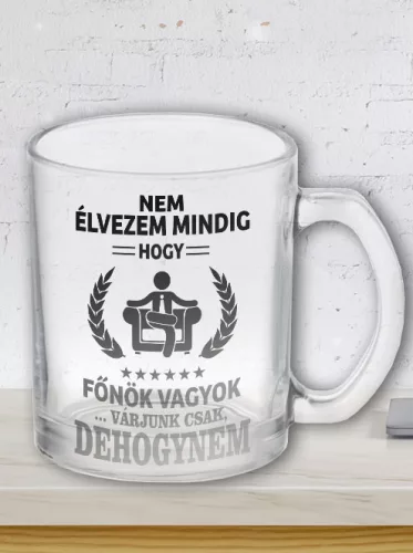 Bögre főnököknek - Nem mindig élvezem - Üveg víztiszta