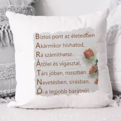 Párna barátnőnek - Mickey egeres