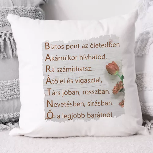 Párna barátnőnek - Mickey egeres