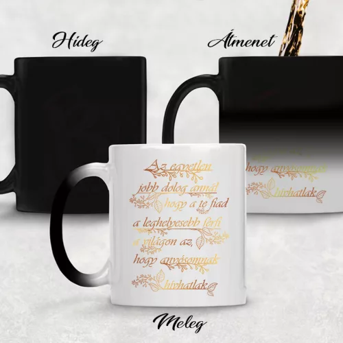 Bögre anyósnak - Fiús anyukáknak - Színváltós varázs bögre