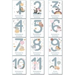 Baba_mérföldkő_kártyák_Első_évem_