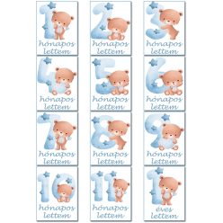 Fiús_baba_mérföldkő_kártyák_Macis_