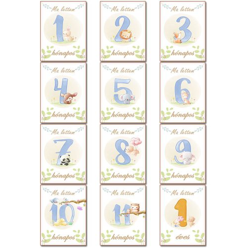 Baba_mérföldkő_kártyák_Erdő_állatai_