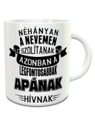 Bögre apáknak_Legfontosabbak apának hívnak