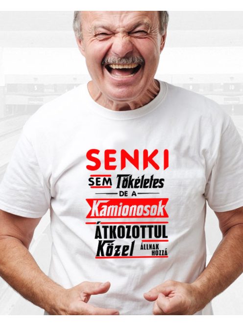 Kamionos ajándék_Senki sem tökéletes póló