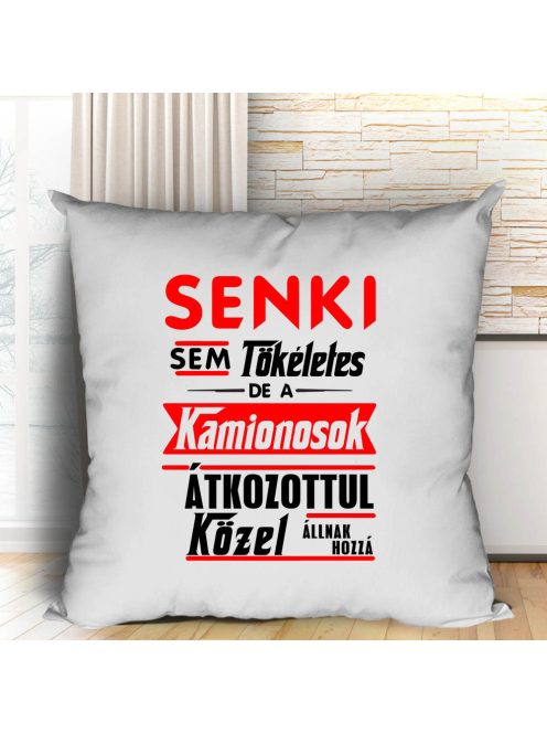 Kamionos ajándék_Senki sem tökéletes párna