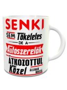 Bögre autószerelőknek_Senki sem tökéletes