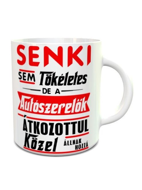 Bögre autószerelőknek_Senki sem tökéletes