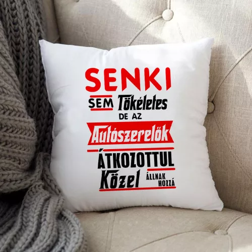 Autószerelős_párna_Senki_sem_tökéletes_