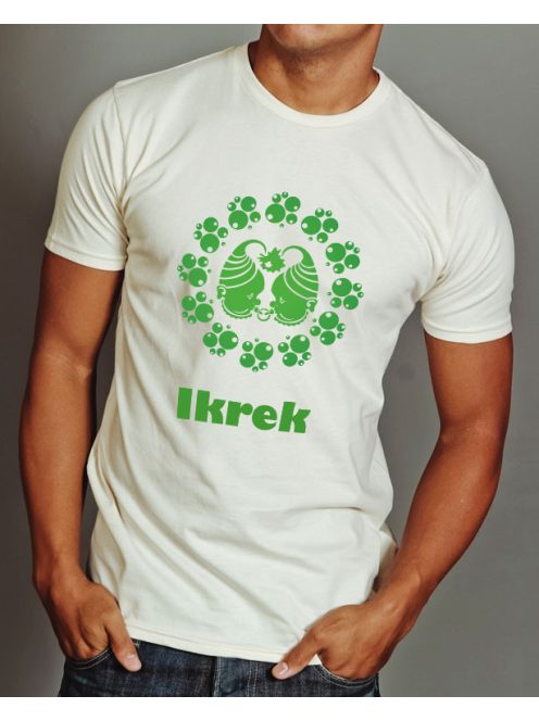  Születésnapi póló Ikrek  