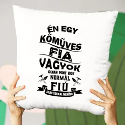 Szakmás_párnák_Kőműves_fia_vagyok_
