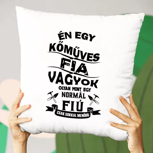 Szakmás_párnák_Kőműves_fia_vagyok_