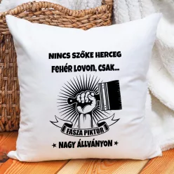 Szakmás_párnák_Fasza_piktor_