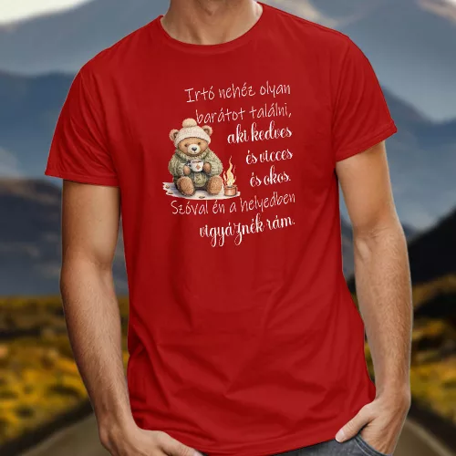 Vicces_póló_barátoknak_Vigyáznék_rám_