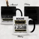 Humoros Bögre főnöknek - Legjobb alkalmazottaim