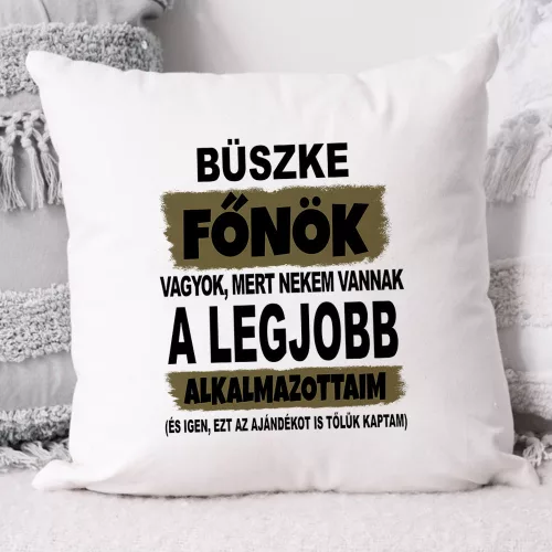 Humoros Párna főnöknek - Legjobb alkalmazottaim