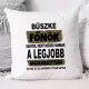 Humoros Párna főnöknek - Legjobb alkalmazottaim