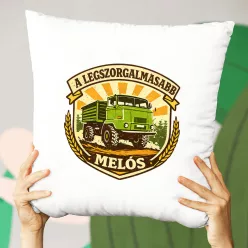 IFA_L60_párna_Legszorgalmasabb_melós_