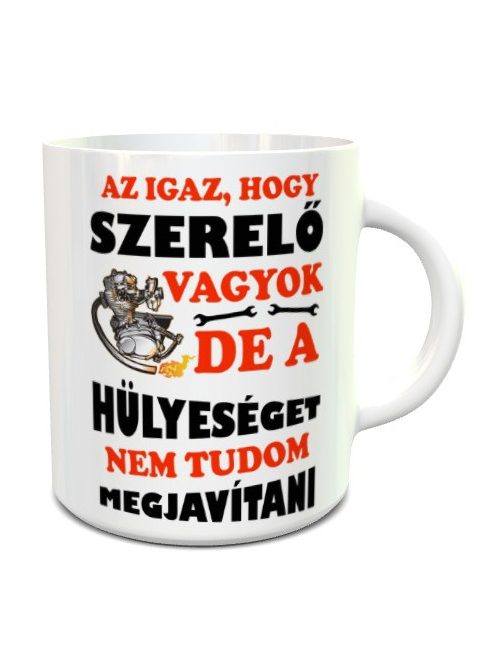 Vicces bögre szerelőnek_Hülyeséget javítani