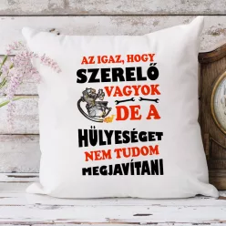 Vicces_párna_szerelőnek_Hülyeséget_javítani_
