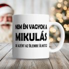 Vicces_bögre_mikulásra_Nem_én_vagyok_