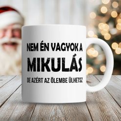 Vicces_bögre_mikulásra_Nem_én_vagyok_