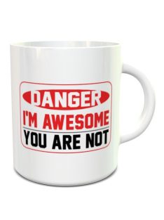 Vicces bögre_Vicces ajándék_Danger i'm awesome you are not