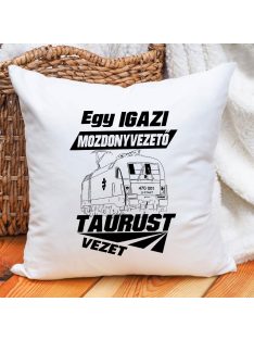 Párna mozdonyvezetőknek_TAURUS párna_