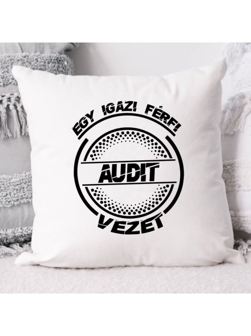 Audis párna_Autós ajándékok_ Webshop