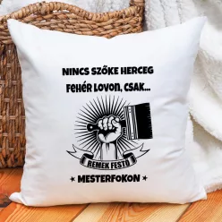 Szobafestő_ajándék_Remek_festő_párna_