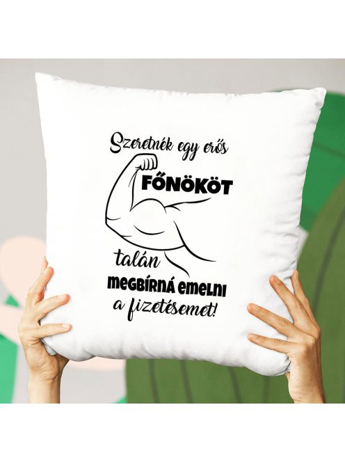 Ajándék főnöknek_Vicces párna főnöknek