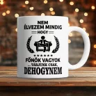 Ajándék_főnöknek_Vicces_feliratos_bögre__