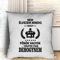 Ajándék_főnöknek_Vicces_feliratos_párna_