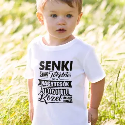 Gyerek_póló_testvérnek_Ajándék_nagytesónak_