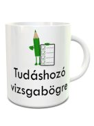 Ajándék ballagásra_Tudáshozó vizsgabögre_