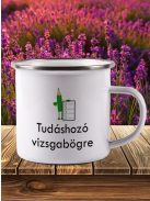 Ajándék ballagásra_Tudáshozó vizsgabögre_