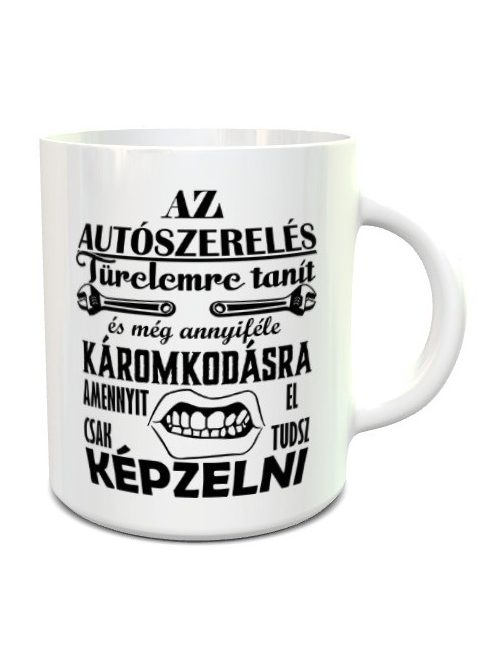 Bögre autószerelőknek_Türelem és káromkodás