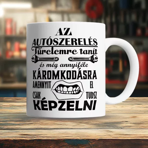 Bögre_autószerelőknek_Türelem_és_káromkodás_