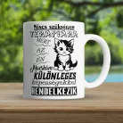 Bögre_cica_gazdiknak_Különleges_macska_