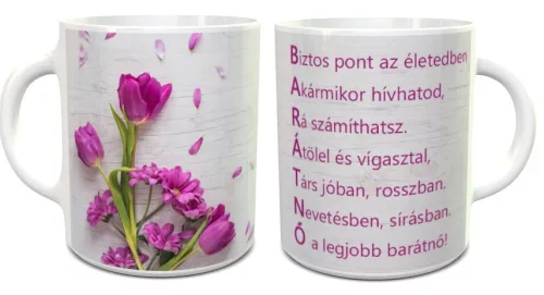 Bögre_barátnőnek_Ajándék_barátnőnek_