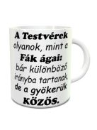 Ajándék testvérnek_Bögre testvéreknek_Kovciomputer