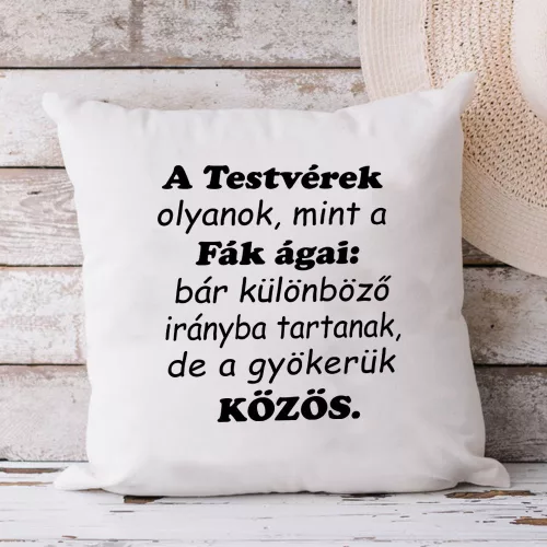 Ajándék_testvérnek_Párna_testvéreknek_Kovciomputer