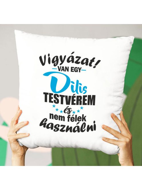 Párna testvérnek_Ajándék dilis testvérnek