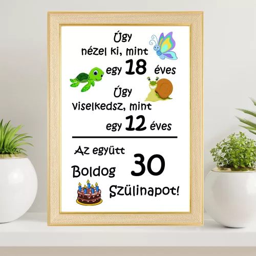 Vicces_ajándék_Falikép_születésnapra_