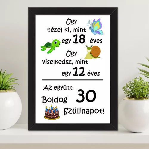 Vicces_ajándék_Falikép_születésnapra_
