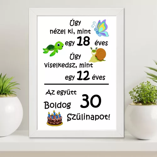 Vicces_ajándék_Falikép_születésnapra_