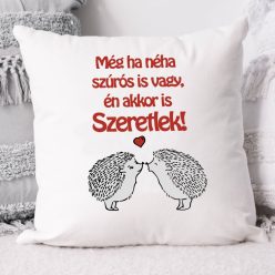 Szerelmes_párna_Ha_néha_szúrós_is_vagy_