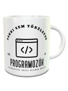 Bögre programozóknak_Ajándék programozóknak 