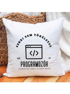 Párna programozóknak_Ajándék programozónak